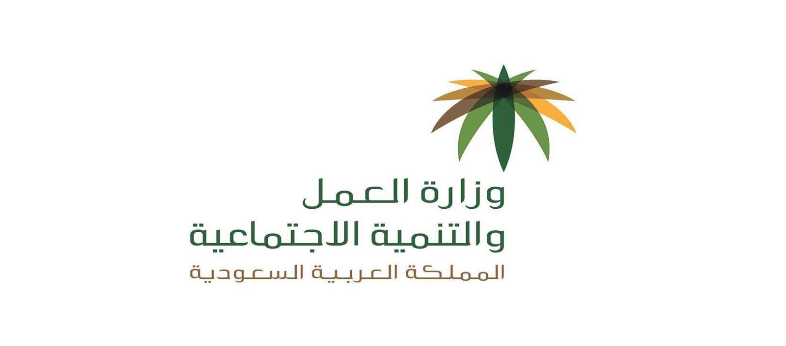 شروط نقل الكفالة