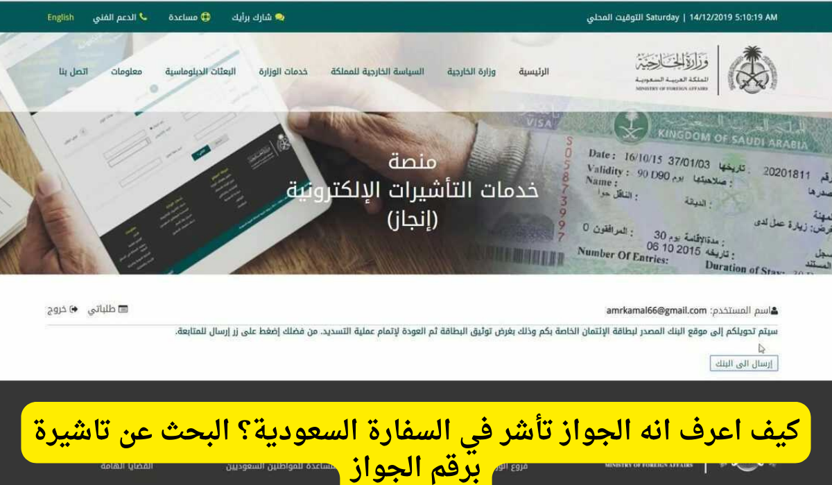 البحث عن تاشيرة برقم الجواز