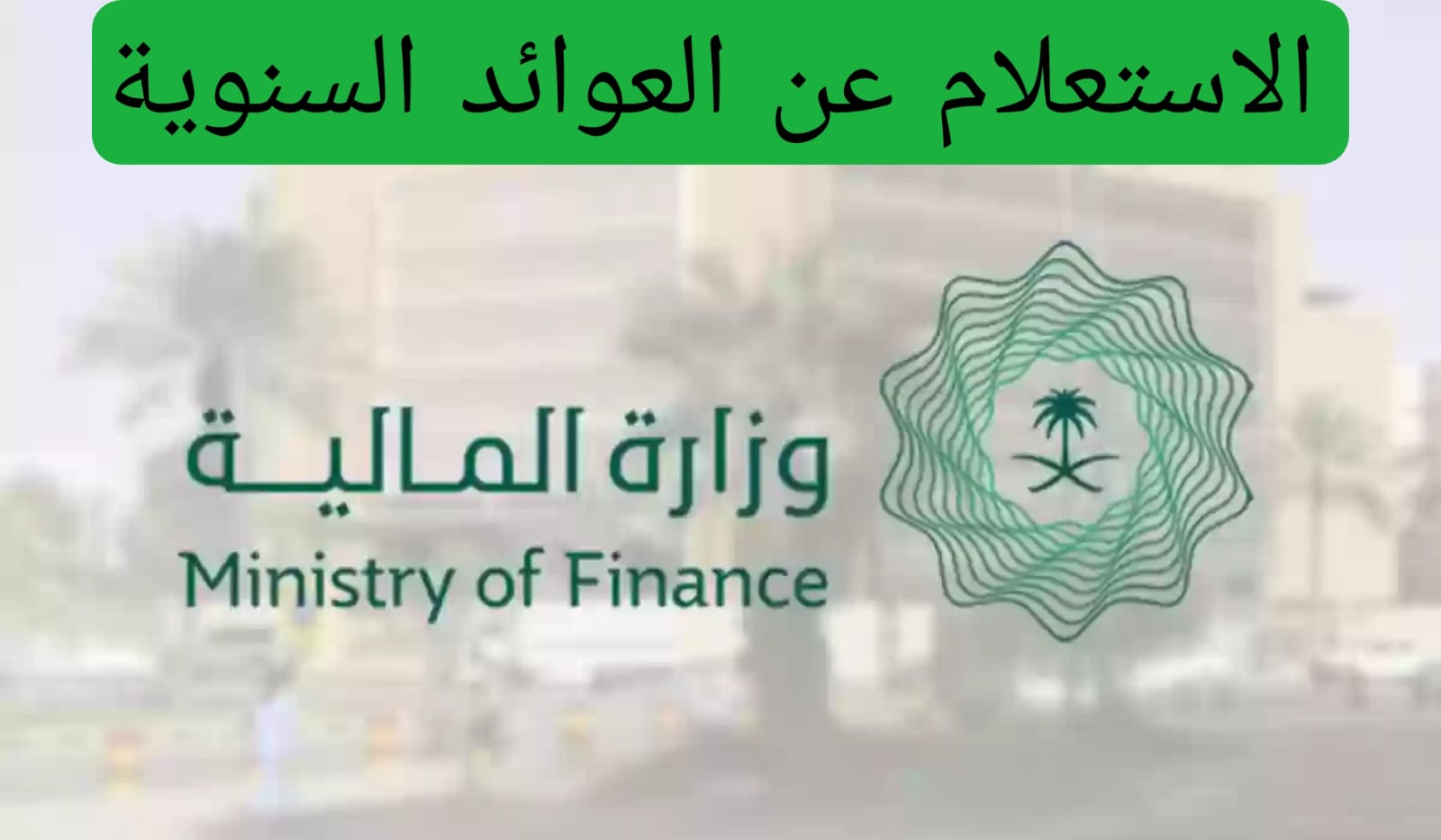 الاستعلام عن العوائد السنوية