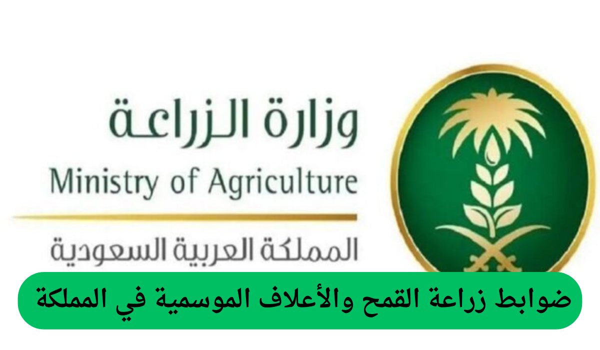 ضوابط زراعة القمح والأعلاف الموسمية في المملكة