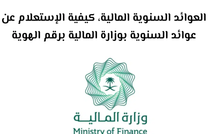 الاستعلام عن العوائد السنوية